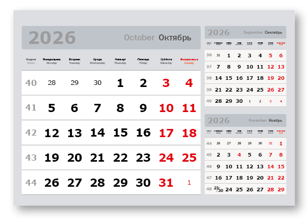 2026 - «3 в одном» мелованные  миди «3 в 1» (335*235)  серый