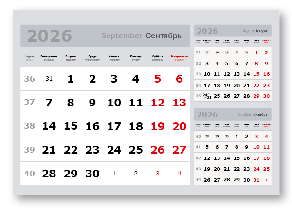 2026 - «3 в одном» мелованные  миди «3 в 1» (335*235)  серый